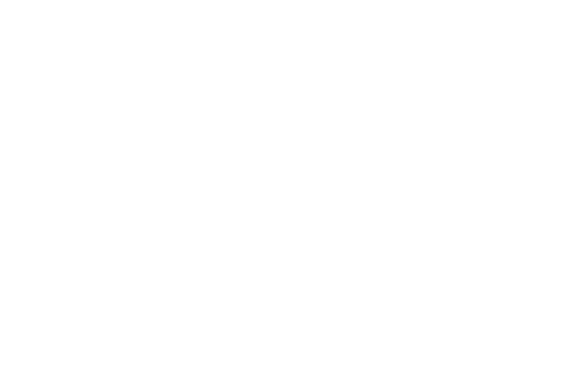 Logo Dunkhase-Consulting-weiss